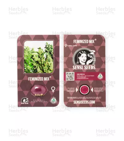 Graines de cannabis Feminized Mix (Sensi Seeds)