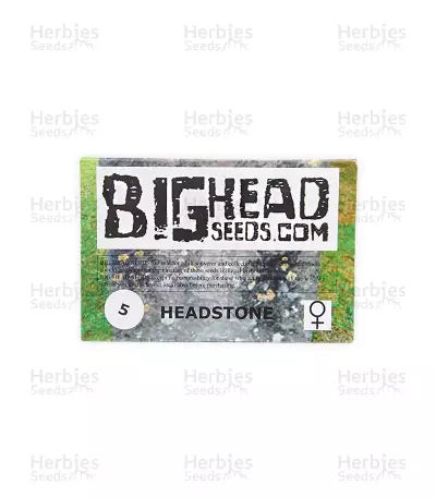 Headstone (Big Head Seeds)