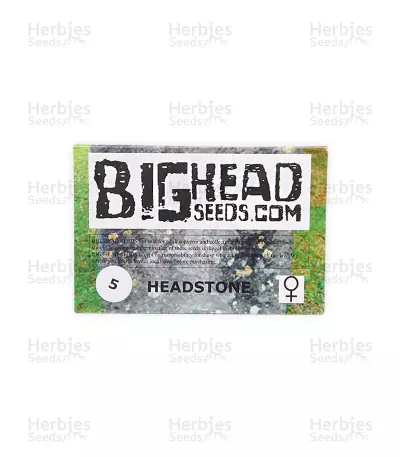 Headstone (Big Head Seeds)