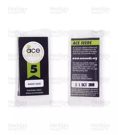 Semi regolari Bangi Haze (Ace Seeds)