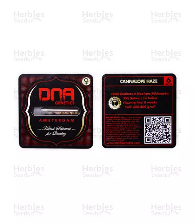 Canalope Haze feminized seeds