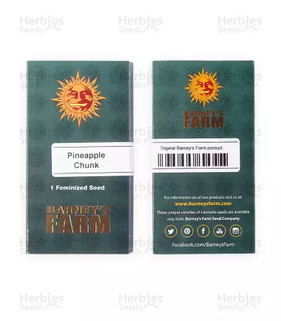 Pineapple Chunk feminized seeds