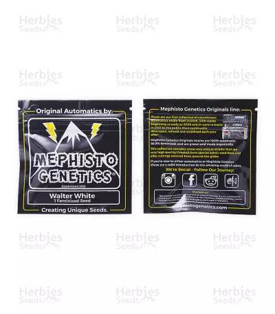 Walter White Auto (Mephisto Genetics)