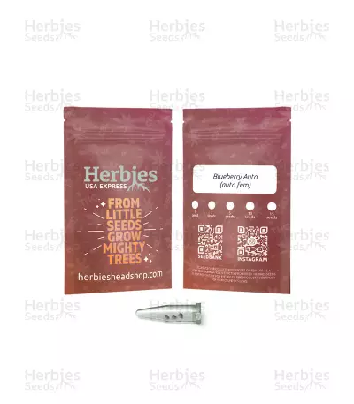 Blueberry Autoflower (Herbies Seeds)
