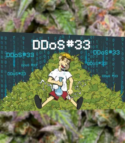 DDoS #33 Seeds (Herbies Seeds)