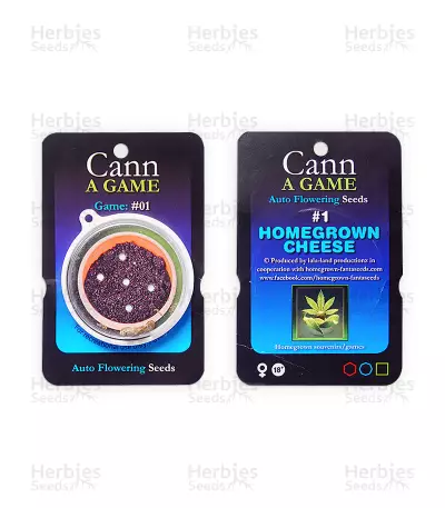 Homegrown Cheese Auto feminized seeds
