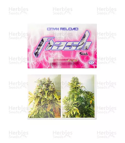 Onyx Reload Auto feminized seeds