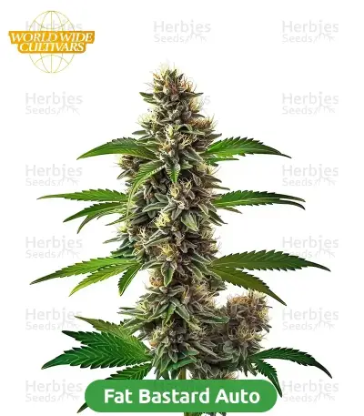 Autopilot Harvest Bundle #1