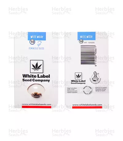 White Widow feminized seeds (White Label)