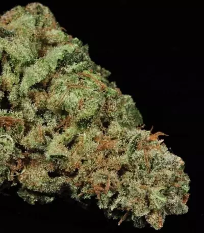White Widow (GHS)