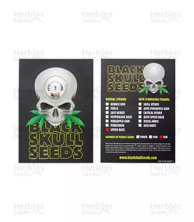 Critical Ryder Auto feminized seeds
