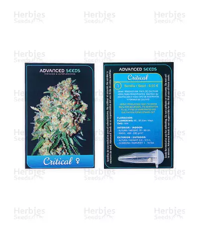 Critical Seeds
