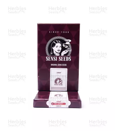 Durban (Sensi Seeds)
