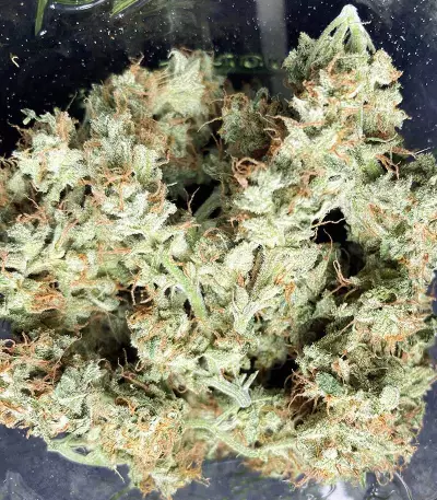 Sage 'n' Sour Seeds