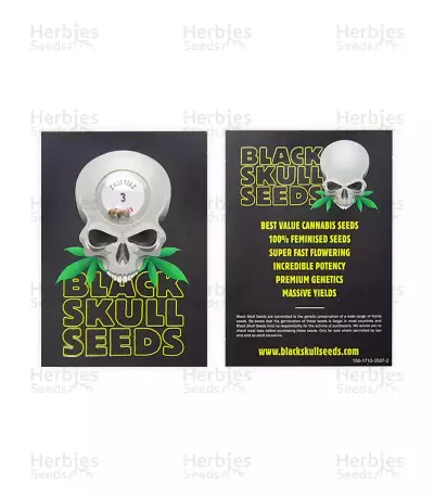 Semi femminizzati Z (Blackskull Seeds)