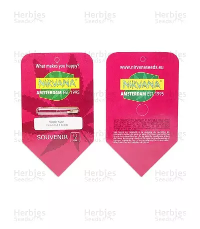 Master Kush Seeds (Nirvana Seeds)