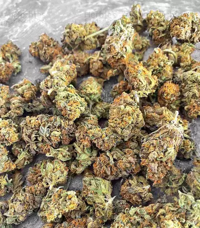 Sith OG Seeds (AlphaFem Seeds)