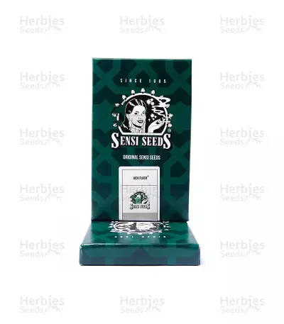 Jack Flash Regular seeds