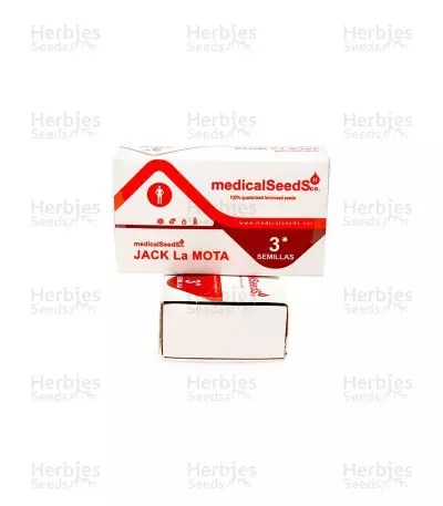 Jack La Mota Seeds