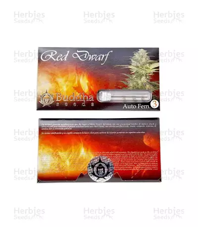 Graines de cannabis Buddha Red Dwarf Auto (Buddha Seeds)