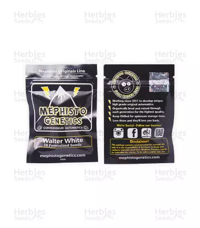 Walter White Auto (Mephisto Genetics)