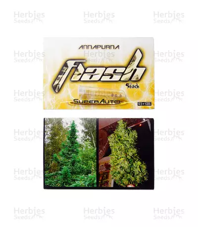Annapurna Auto Seeds
