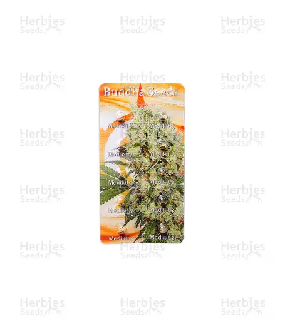 Buddha Medikit CBD (Buddha Seeds)