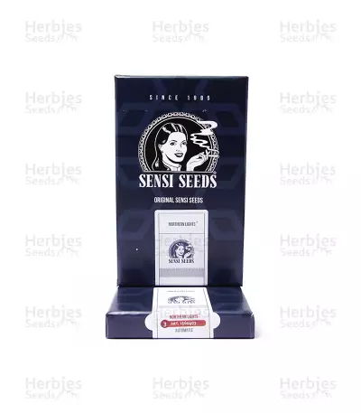 Northern Lights Automatic Seeds (Sensi Seeds)