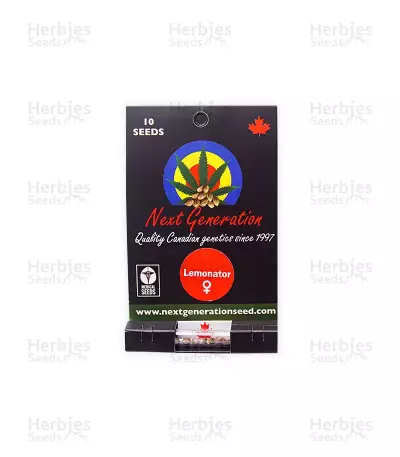 Lemonator feminized seeds