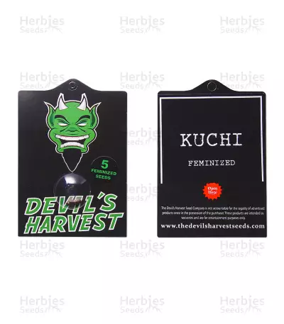 Graines de cannabis Kuchi (Devils Harvest Seeds)