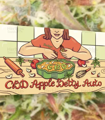 Graines féminisées de CBD Apple Betty Auto (Herbies Seeds)