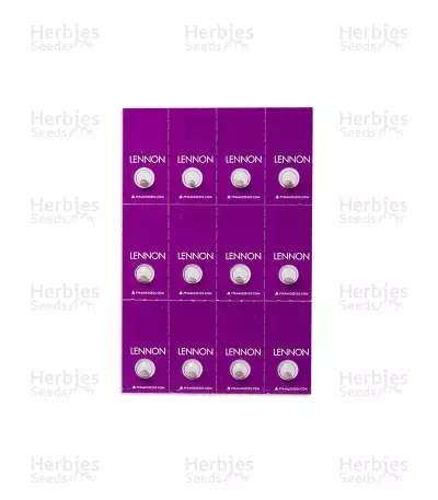 Lennon feminized seeds