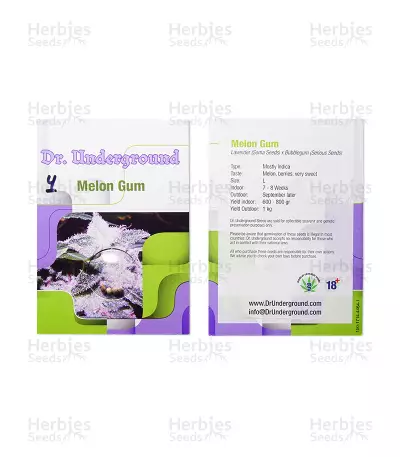 Melon Gum Seeds