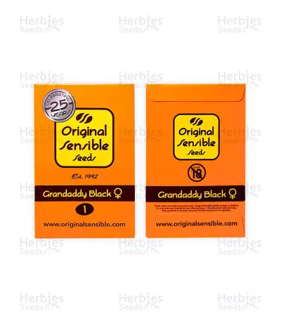 Graines de cannabis Grandaddy Black (Original Sensible Seeds)