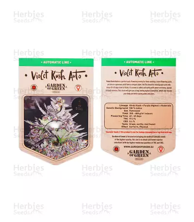 Violet Kush Auto feminized seeds