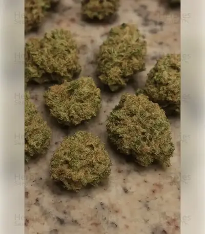Future #1 Seeds (Blimburn Seeds)