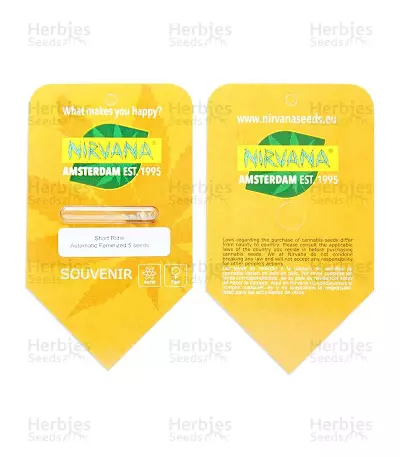 Graines de cannabis Short Rider Automatic (Nirvana Seeds)