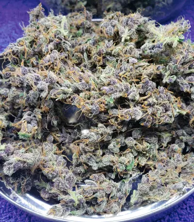 LSD Auto (Barney's Farm)