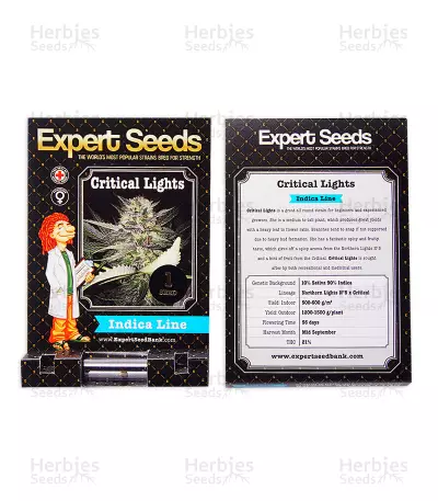 Critical Lights (Expert Seeds) Seeds