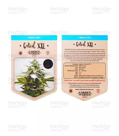 Critical XXL Seeds