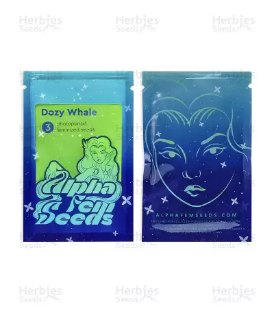 Dozy Whale Seeds (AlphaFem Seeds)