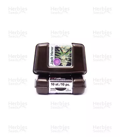 Jack Herer Seeds (Kera Seeds)