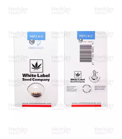 Purple Haze Seeds