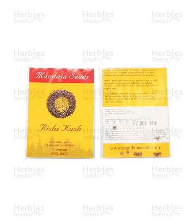 Rishi Kush Seeds