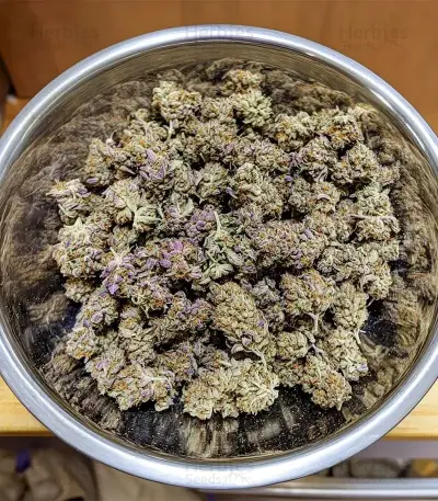 Blue Dream Seeds