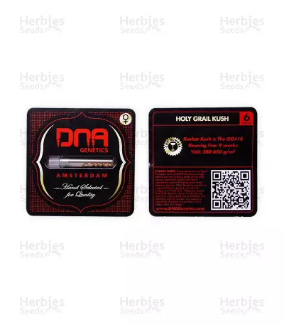 Holy Grail Kush Feminized Seeds from DNA Genetics