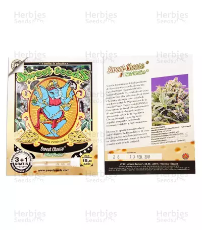Sweet Cheese F1 Fast Version (Sweet Seeds)