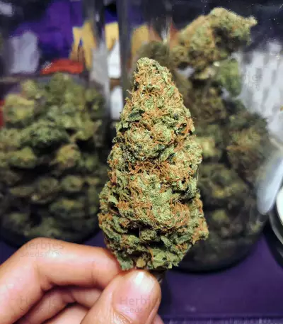 Do-Si-Dos Cookies Seeds
