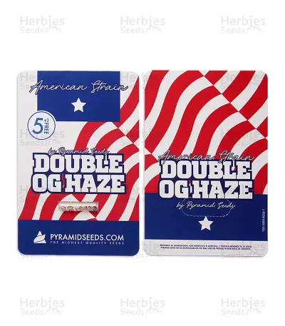Double OG Haze Seeds