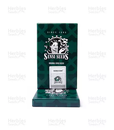 Ruderalis Skunk regular (Sensi Seeds)